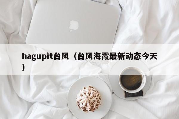 hagupit台风(台风海霞最新动态今天)