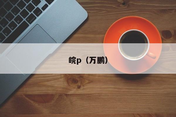 皖p(万鹏)
