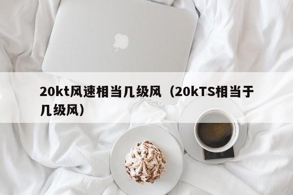 20kt风速相当几级风(20kTS相当于几级风)