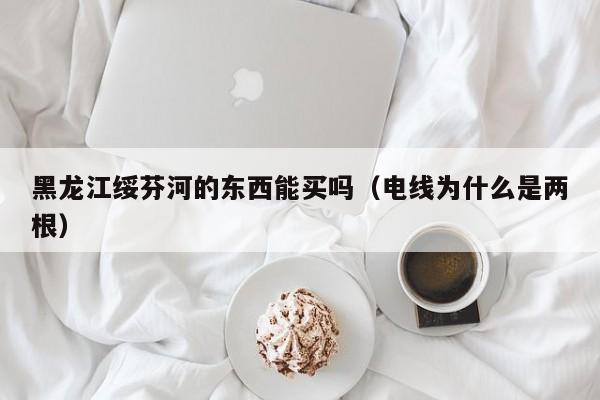 黑龙江绥芬河的东西能买吗(电线为什么是两根)