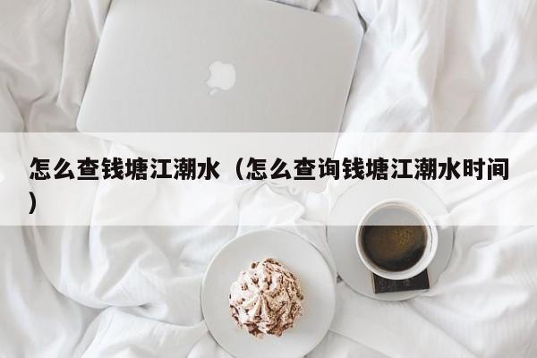 怎么查钱塘江潮水(怎么查询钱塘江潮水时间)