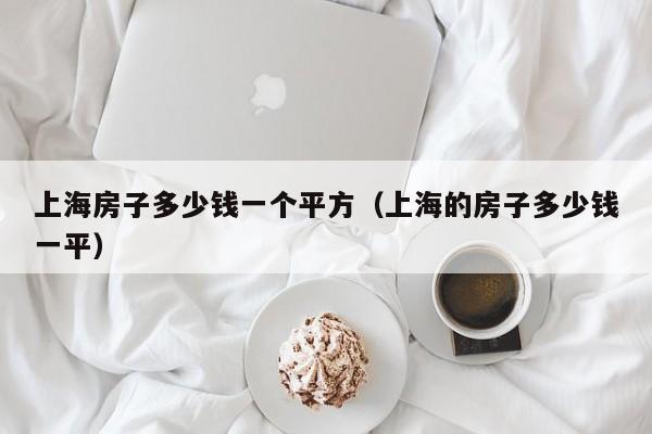上海房子多少钱一个平方(上海的房子多少钱一平)