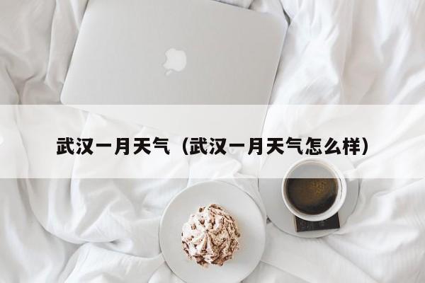 武汉一月天气(武汉一月天气怎么样)