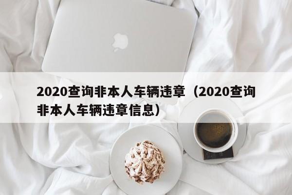 2020查询非本人车辆违章(2020查询非本人车辆违章信息)