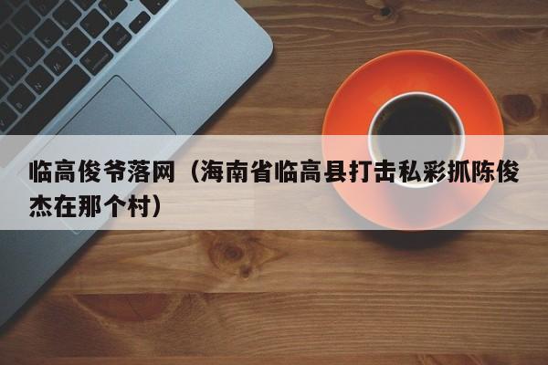 临高俊爷落网(海南省临高县打击私彩抓陈俊杰在那个村)