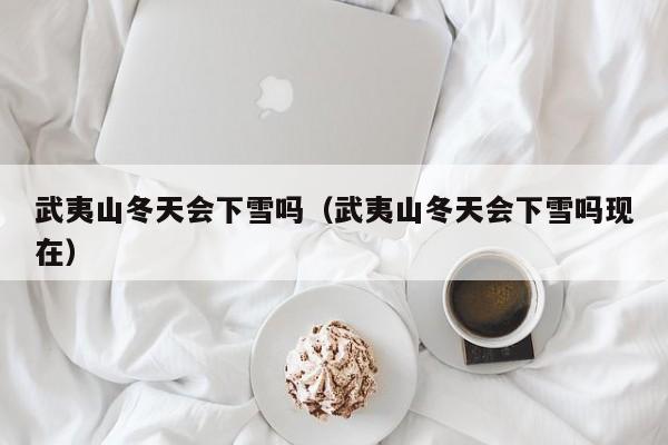 武夷山冬天会下雪吗(武夷山冬天会下雪吗现在)