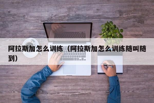 阿拉斯加怎么训练(阿拉斯加怎么训练随叫随到)