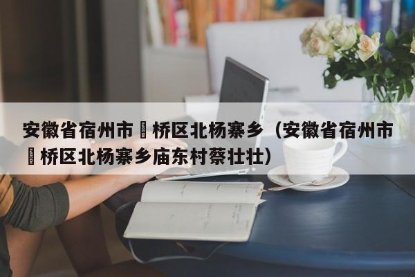 安徽省宿州市埇桥区北杨寨乡(安徽省宿州市埇桥区北杨寨乡庙东村蔡壮壮)