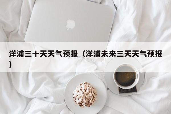 洋浦三十天天气预报(洋浦未来三天天气预报)