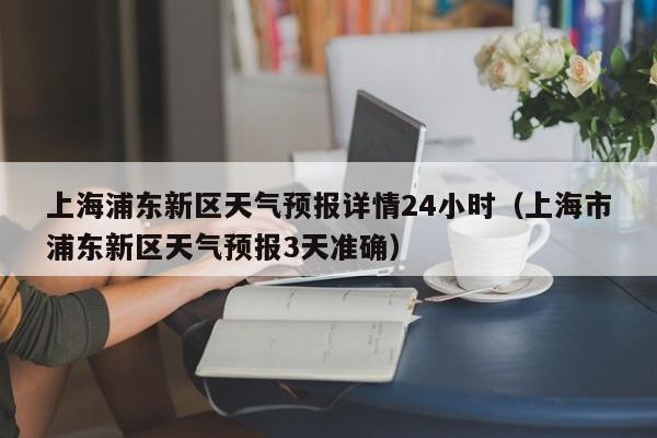 上海浦东新区天气预报详情24小时(上海市浦东新区天气预报3天准确)